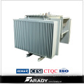 13.2kv 160kVA Distribution Transformator